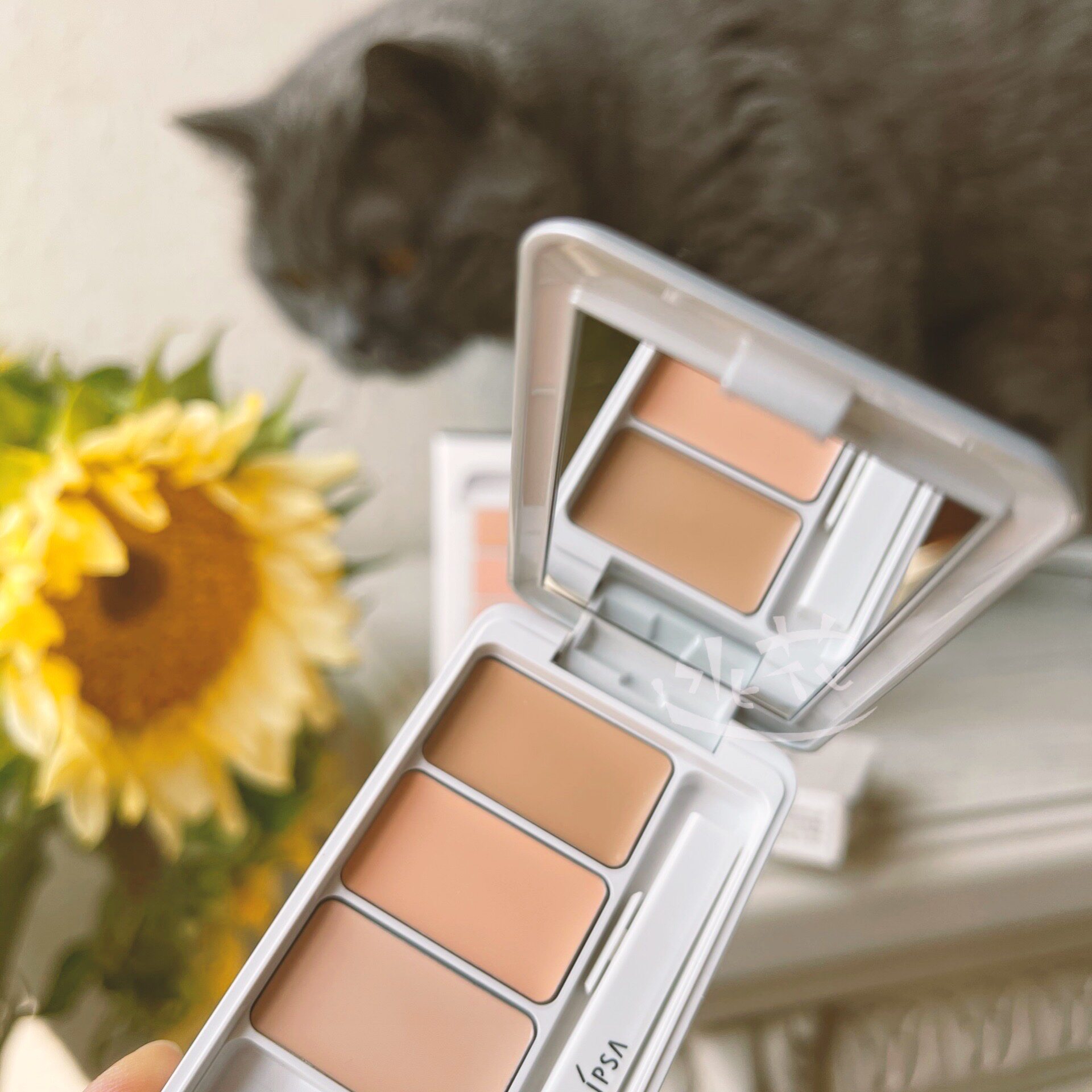 Flower Flower Spot IPSA Inphtha New Edition Tricolor Confidence Shui Cover Cover 4 5g