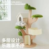 Zeze Green Sweet Tree House Cat Cating Cat West