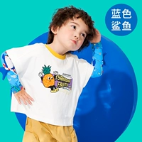 Синяя шелковая плавная акула, 3 лет