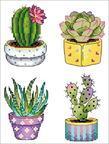 (Zhang Xiaolang) Cross-stitch DMC R line self-matching kit plastic board refrigerator stickers succulent plants