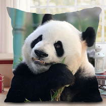 Cushion Menglan Giant Panda Xizhimen Third Prince Peripheral Gift Short Plush Cute Square Cushion Sofa