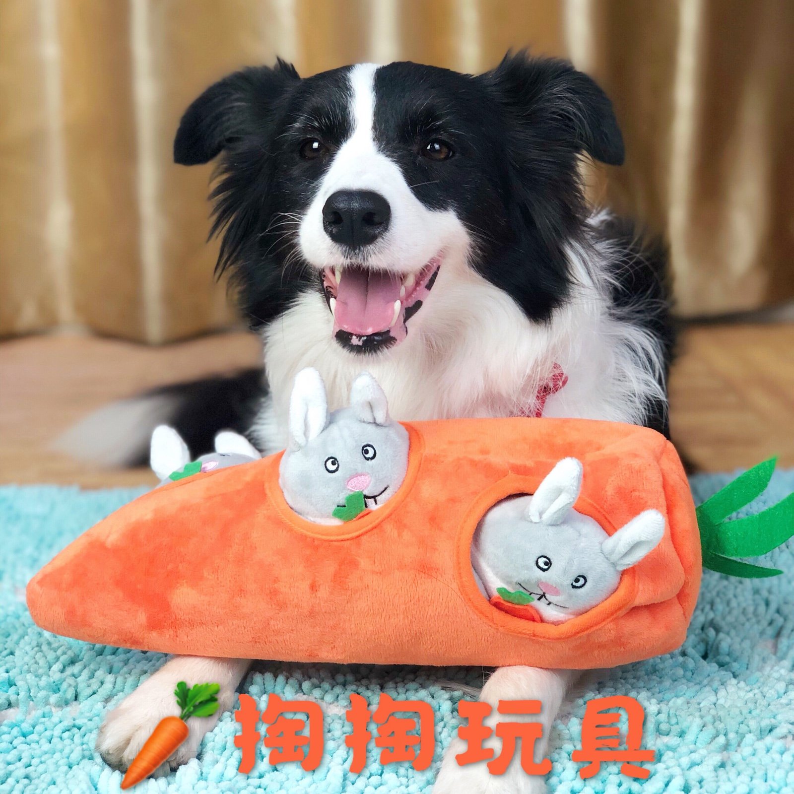 Stupid pet sniffing, leaking food, digging out toys, dog, puzzle, hiding food, leaking food toys, a variety of options