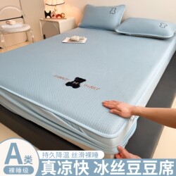 Cartoon A-Class Cooling Ice Silk Beanie Mat, Summer Air-Conditioned Mat, Foldable Single/Double Soft Mat, 2026 New Model