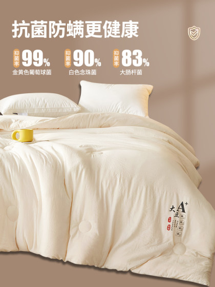 Muji Soy Fiber Quilt, Thickened Winter Quilt, Spring and Autumn Quilt Core, All-Season Universal Cotton Quilt, Summer Cooling Quilt, Air-Conditioning Quilt
