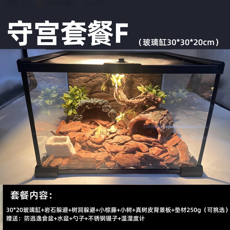 Leopard Gecko Breeding Kit Fat-Tailed Leopard Gecko Pet Snake Glass Tank Breeding Beginner's Entry-Level Lazy Person's Package
