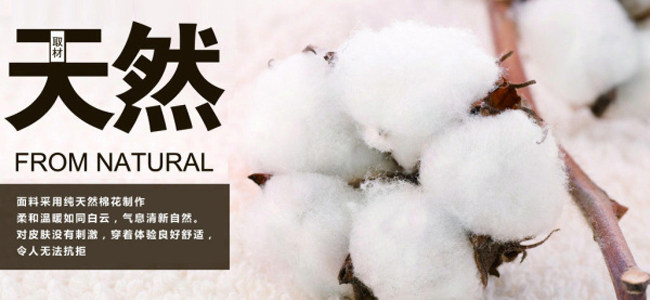 Slip jeunesse simple en coton - Ref 643877 Image 11