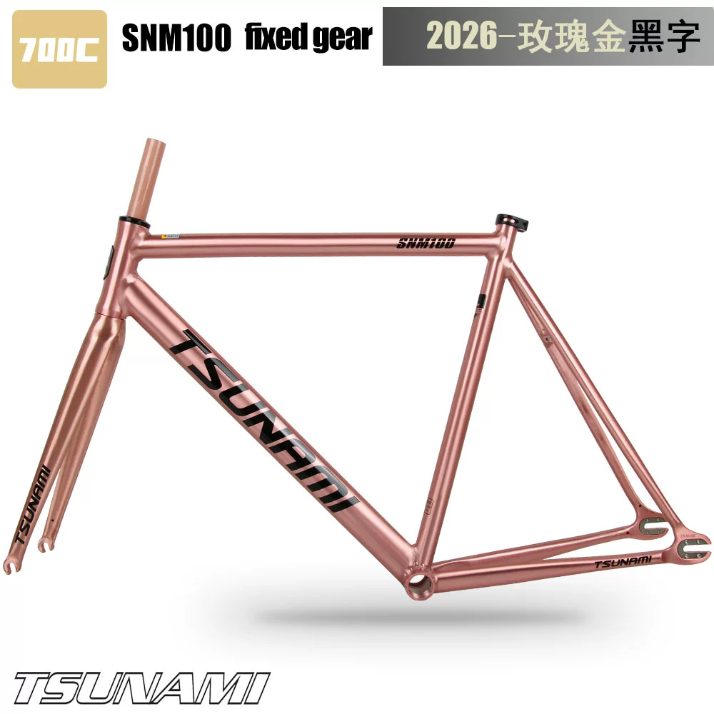 TSUNAMI Tsunami Speed ​​Nami SNM100 Pioneer Dead Flying Aluminum Alloy Racing Track Bicycle Frame
