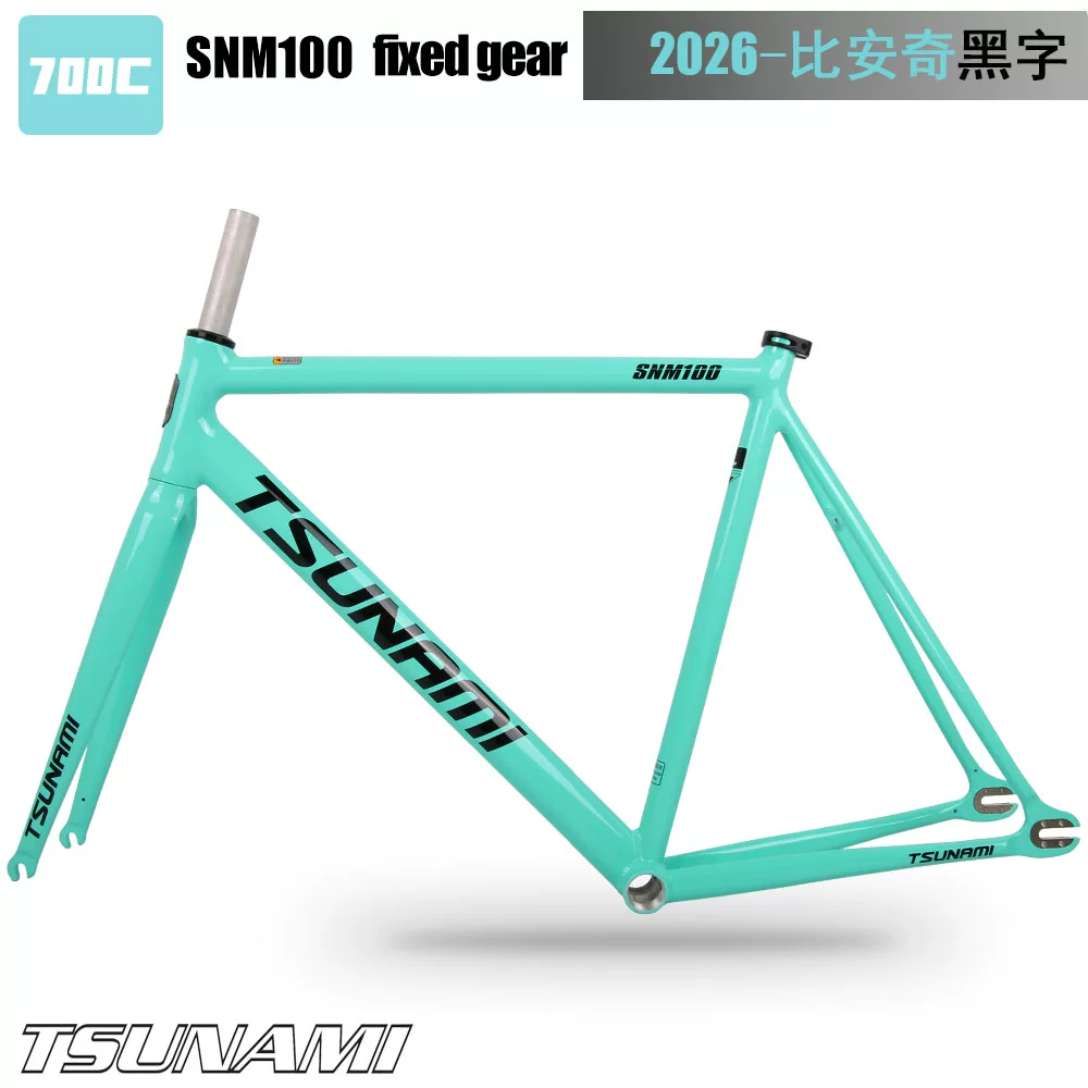 TSUNAMI Tsunami Speed ​​Nami SNM100 Pioneer Dead Flying Aluminum Alloy Racing Track Bicycle Frame