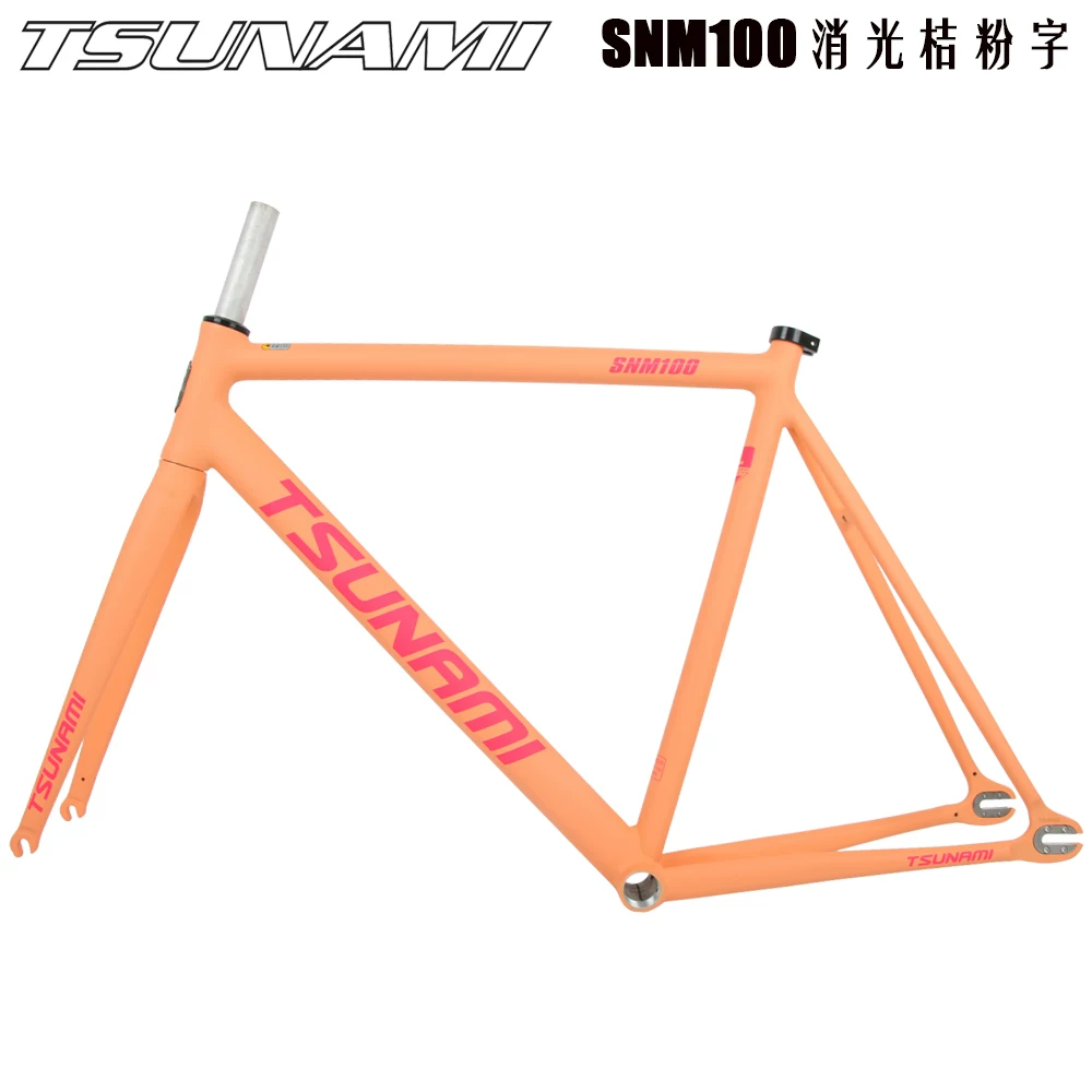 TSUNAMI Tsunami SNM100 Dead Fly Single Speed Aluminum Alloy Racing Field Bike 700C Frame
