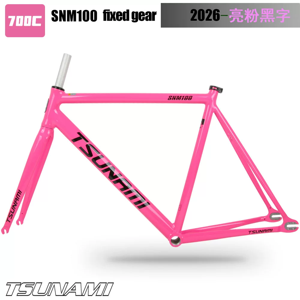 TSUNAMI Tsunami Speed ​​Nami SNM100 Pioneer Dead Flying Aluminum Alloy Racing Track Bicycle Frame