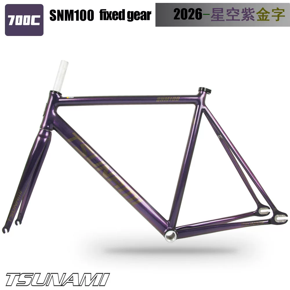 TSUNAMI Tsunami Speed ​​Nami SNM100 Pioneer Dead Flying Aluminum Alloy Racing Track Bicycle Frame