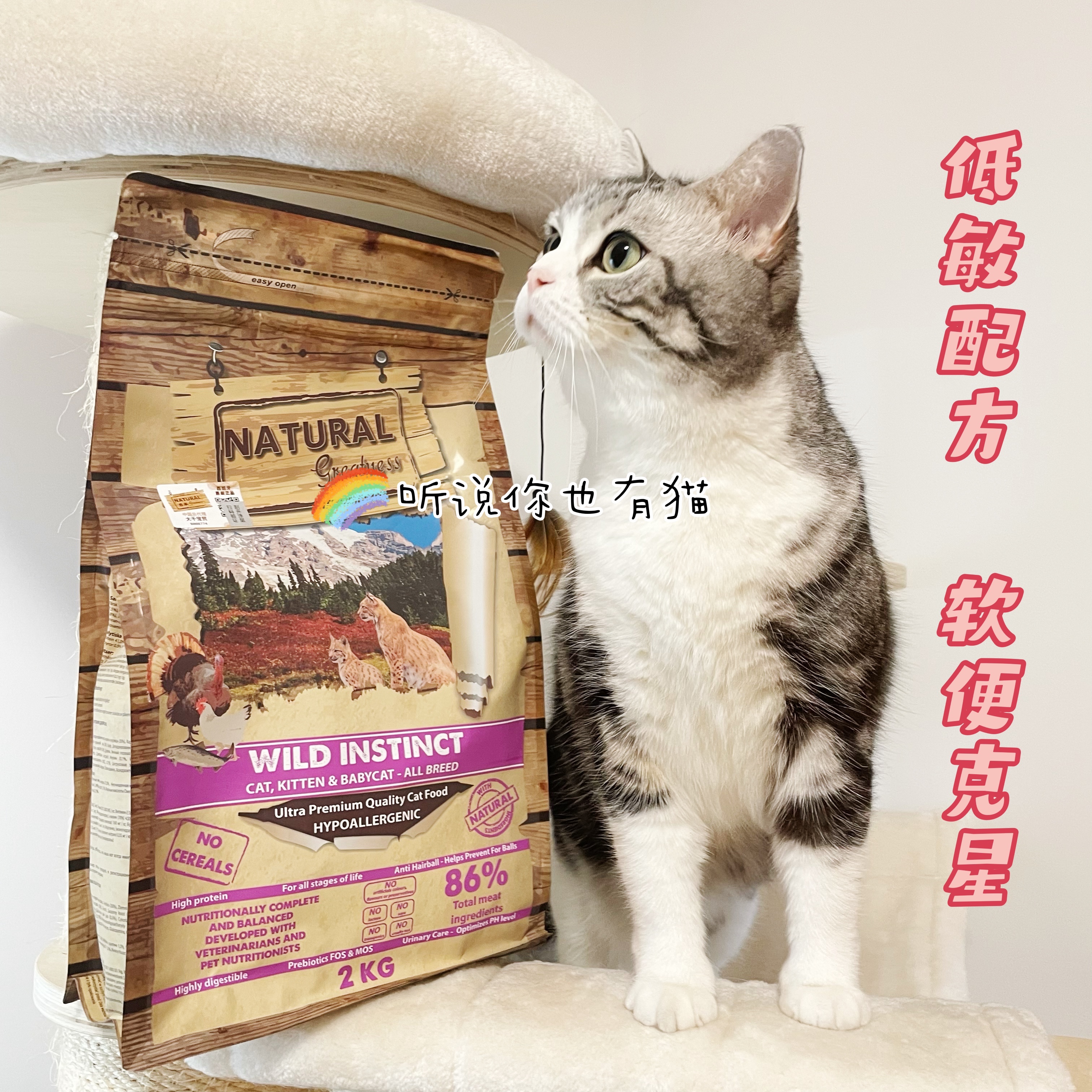 Import of Spanish NG Purple Chicken Brown Chicken Rabbit Meat Grace and Cat Food Into Cat Whole Stage Cat Dry Grain Staple Food