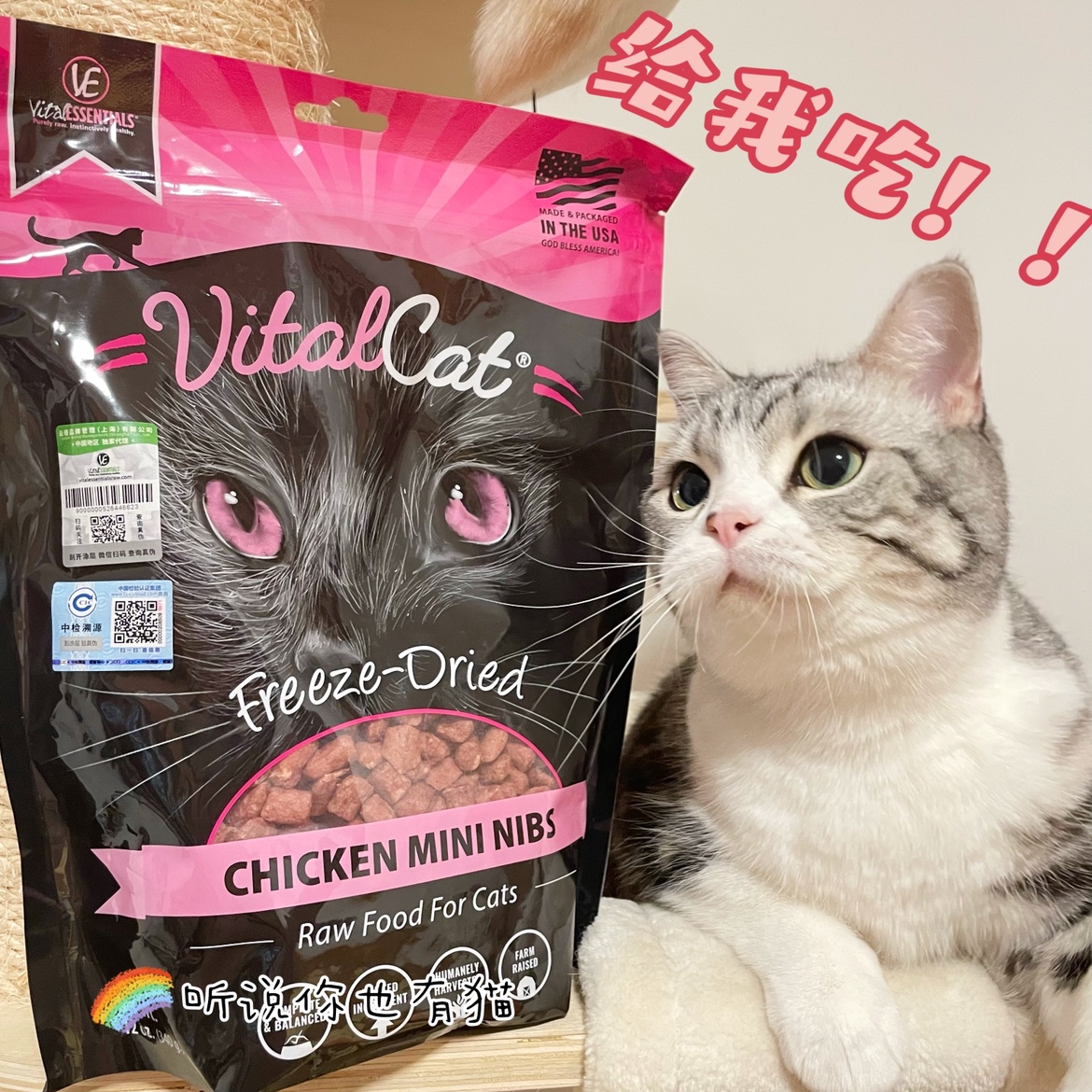 US imports VE kitty staple food freeze-dried cat food meat pie meat grain snacks 227g