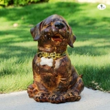 Сад - старая милая щенка бесплатная доставка золотисто -волос собачья смола орнамент ресторан цветочный магазин вилла