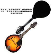 IRIN Instrument de musique folklorique Mandolin Mandolin Mandolin Huit-stringed Guitar Western Musical Instrument