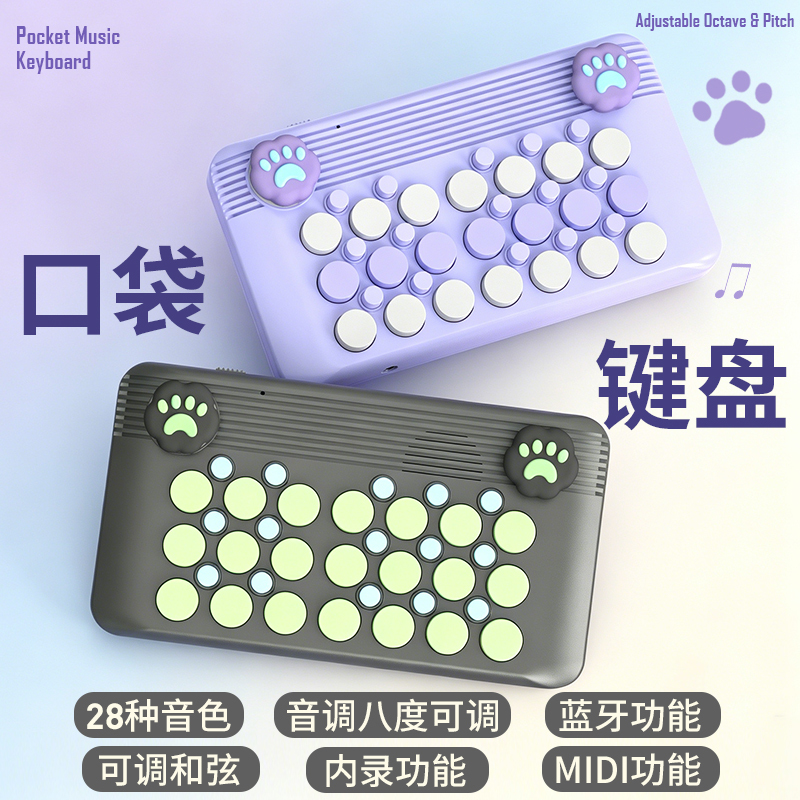 Pocket Music Keyboard Electronic Piano Portable Midi Arranger Synthesizer Beginner Children Adult Birthday Gift