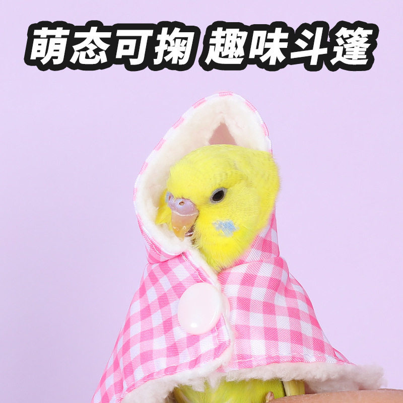 2025款鹦鹉过冬披风，狸奴宠物鸟保暖斗篷真的有必要买吗？