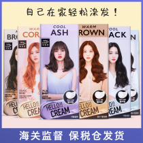 2020 new Korean Amore hair dye pure plant foam hair dye gel color dye popular color no irritation