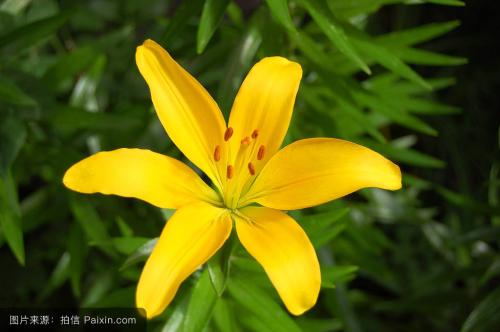 Lifting round powder acne pimples are hot and cold and easy to get on fire for fear of cold and stomach partial, wet and heavy
