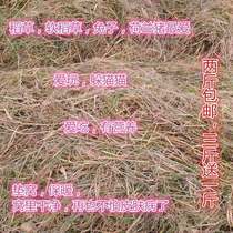 Dry straw soft straw Dutch pig rabbit pasture more than Timothy alfalfa