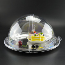 Thickened stainless steel fruit tray with lid round flat bottom mirror large bread cake dust cover pastry plate
