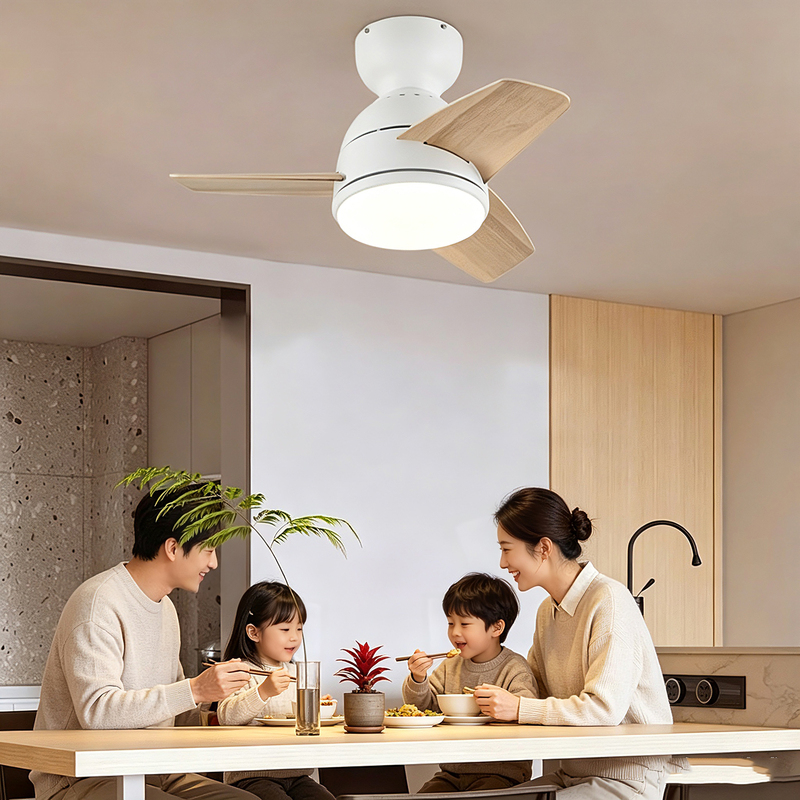 26inch Restaurant Bedroom Balcony Ceiling Fan Light with Variable Frequency, Ultra-Thin Small Ceiling Fan, Dressing Room Hallway Ceiling Fan with Light