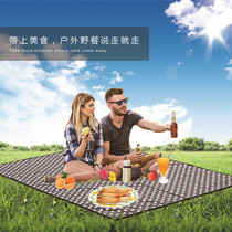 Picnic mat mats mats zhang peng dian picnic cloth tarps 600DPVC thickened arranged wear-resistant cloth