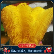 Golden Feather ostrich feather wedding route guide hotel table flower decorations big feather 20-30-40-50-60-70