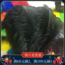 Black ostrich hair wedding road lead desktop mask crafts accessories stage performance decoration Big Feathers