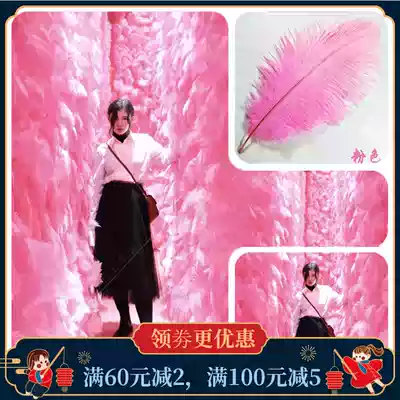 Pink net red feather wall ostrich hair red book shaking sound photo shooting window display decoration feather background wall
