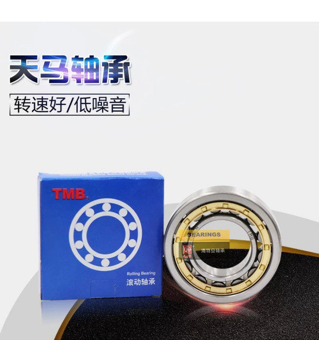 TMB Tianhor Swing Reducer Eccupy Bearing RN205 206 307 309 312 219 222 2228 M