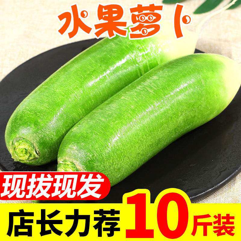 Fresh fruit radish 5 10 catties authentic fruit radish in season eat sweet and crisp green radish now dig and find