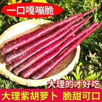 Now dig a farmhouse purple carrot 5 catty purple black carrot raw to eat fruit purple jade fresh radish to beat the wrong hair 9