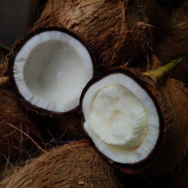 Milk Coconut 1 Loaded Pregnant Woman Fruit Fresh Fruit When Season Fruit 10 Non-coconut Coconut White Old Broccoli 5