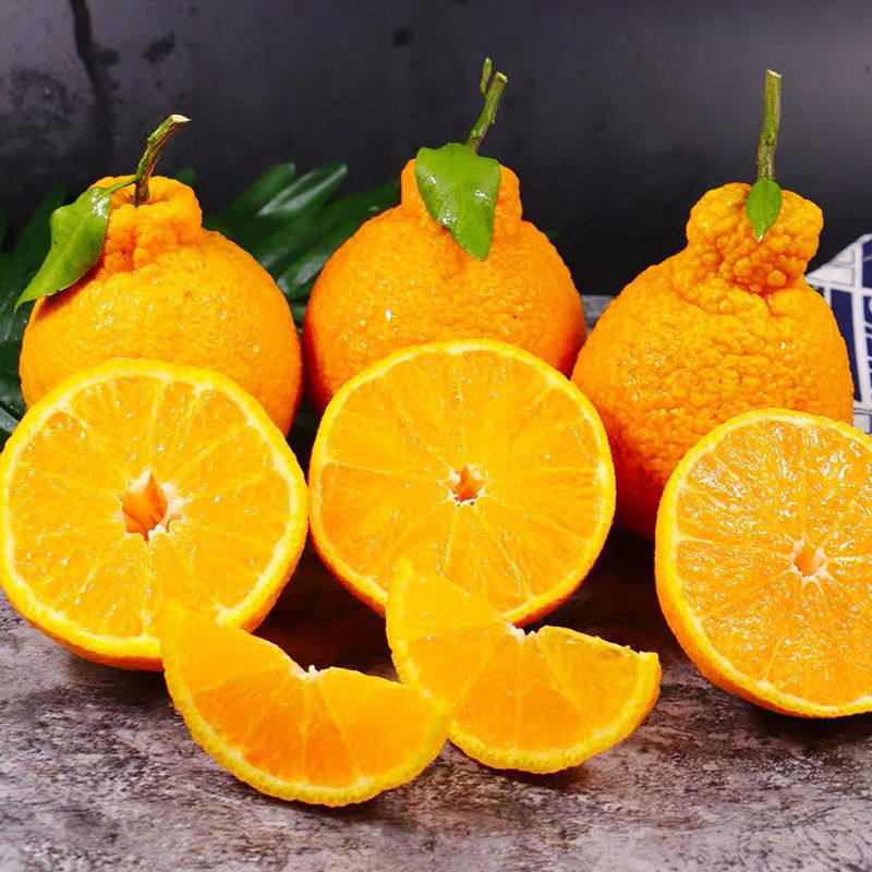 Authentic ugly oranges do not know fire 10 pounds of ugly oranges fresh seasonal fruit oranges citrus ugly oranges ugly oranges