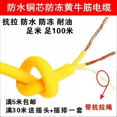2-core 3-core wire beef tendon flexible cable 2 5 square waterproof and antifreeze row plug pure copper core wire cable