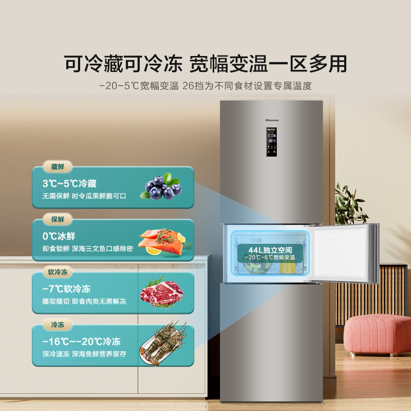 海信BCD-251WYK1DPJ冰箱图片