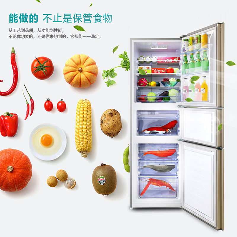 hisense/����С�͵����bcd249wtd/q