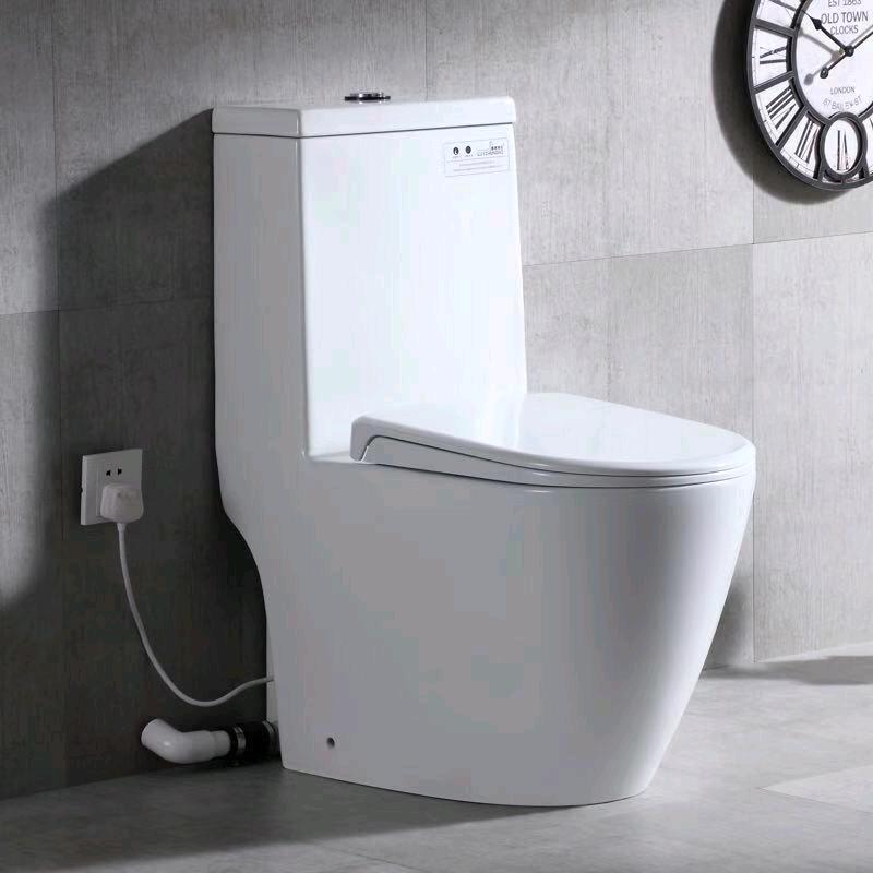 Basement new type electric powder pure household villa bungalow multi-function rising toilet