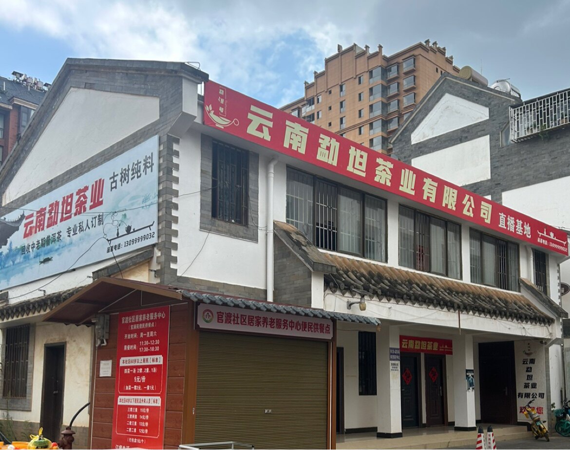 中老期普洱茶生茶熟茶