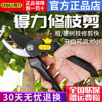 Del tools Pruning Fruit tree pruning shears horticultural scissors pruning branches gardening and labor-saving big rough branch shears