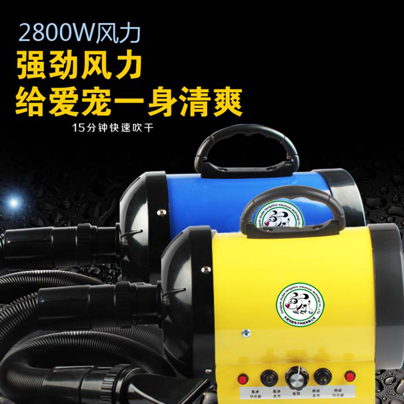Mini High Power 2800W Pet Blow Water Machine Pet Store Special Dogs Blow Wool Machine Double manufacturer Direct Sale