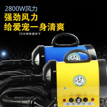 Mini high power 2800W pet water blower pet shop special dog hair blowing machine double Aviation factory direct sales