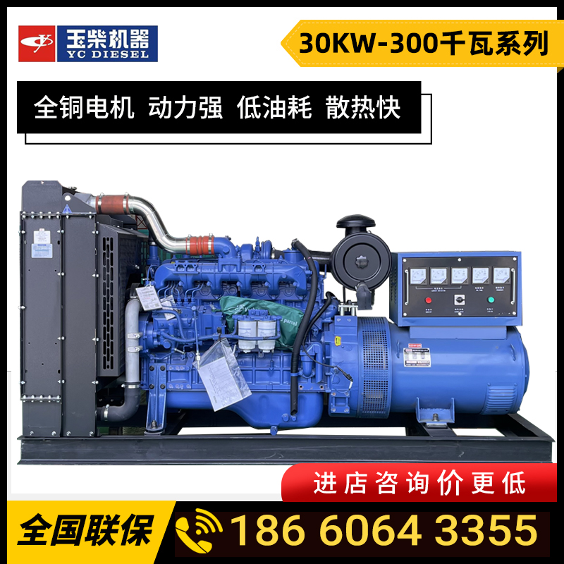 Jade Chai 30KW50kw100 KW diesel generating set 150200300 three-phase 380V brushless with brush