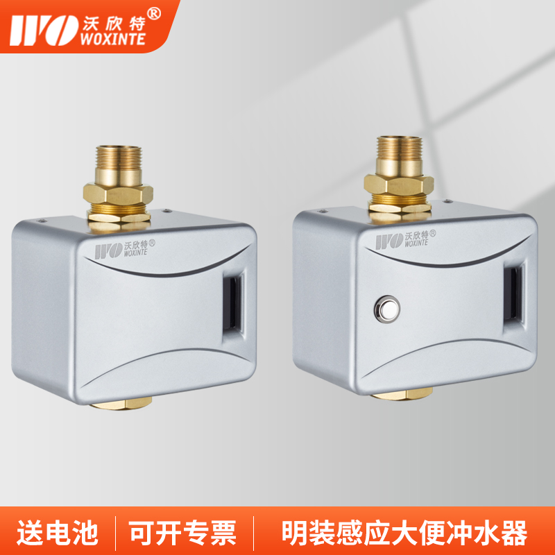 Washington Mount Washington Induction Flush Toilet Smart Infrared Full Automatic Flush Valve