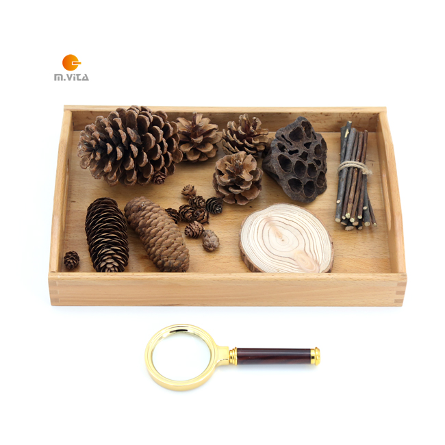 Monsheng Education Montausssori Teaching Aids Scientific Culture Magnifier Observation Items Suit