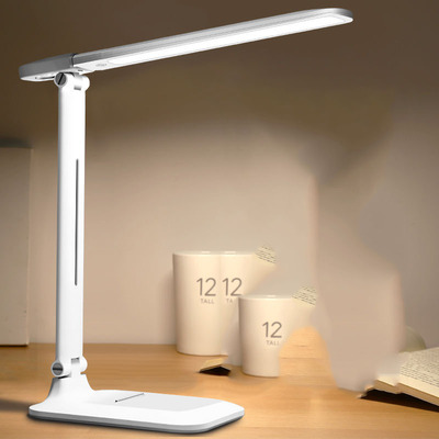 LED台灯保视力护眼书桌小学生宿舍儿童学习专用充电插电两用床头
