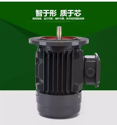 Shanghai Dedong YE2 90S-4 90L-4 90S-2 90L-2 90S-6 90L-6