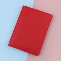 249 самолетов паспорт красный