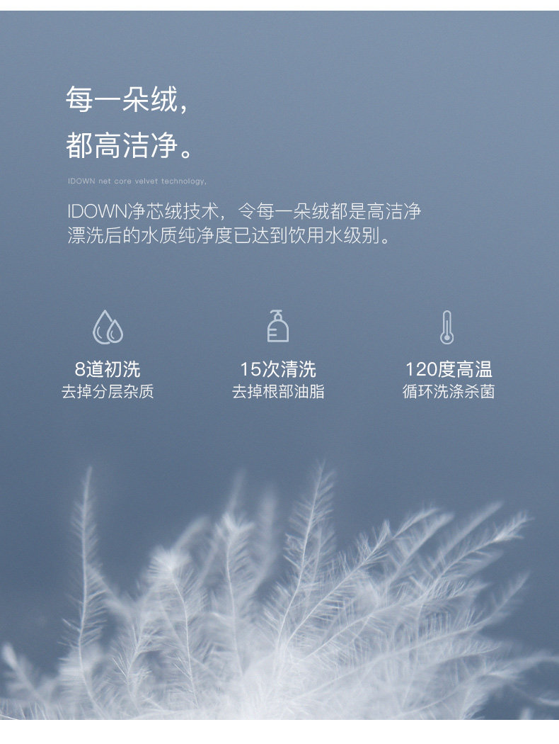 100-е годы Goose Down-new_13.jpg